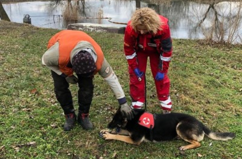 Enesei tűzoltókkal gyakorolt az életmentő kutya